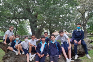 Imagen de Salidas fin de curso
